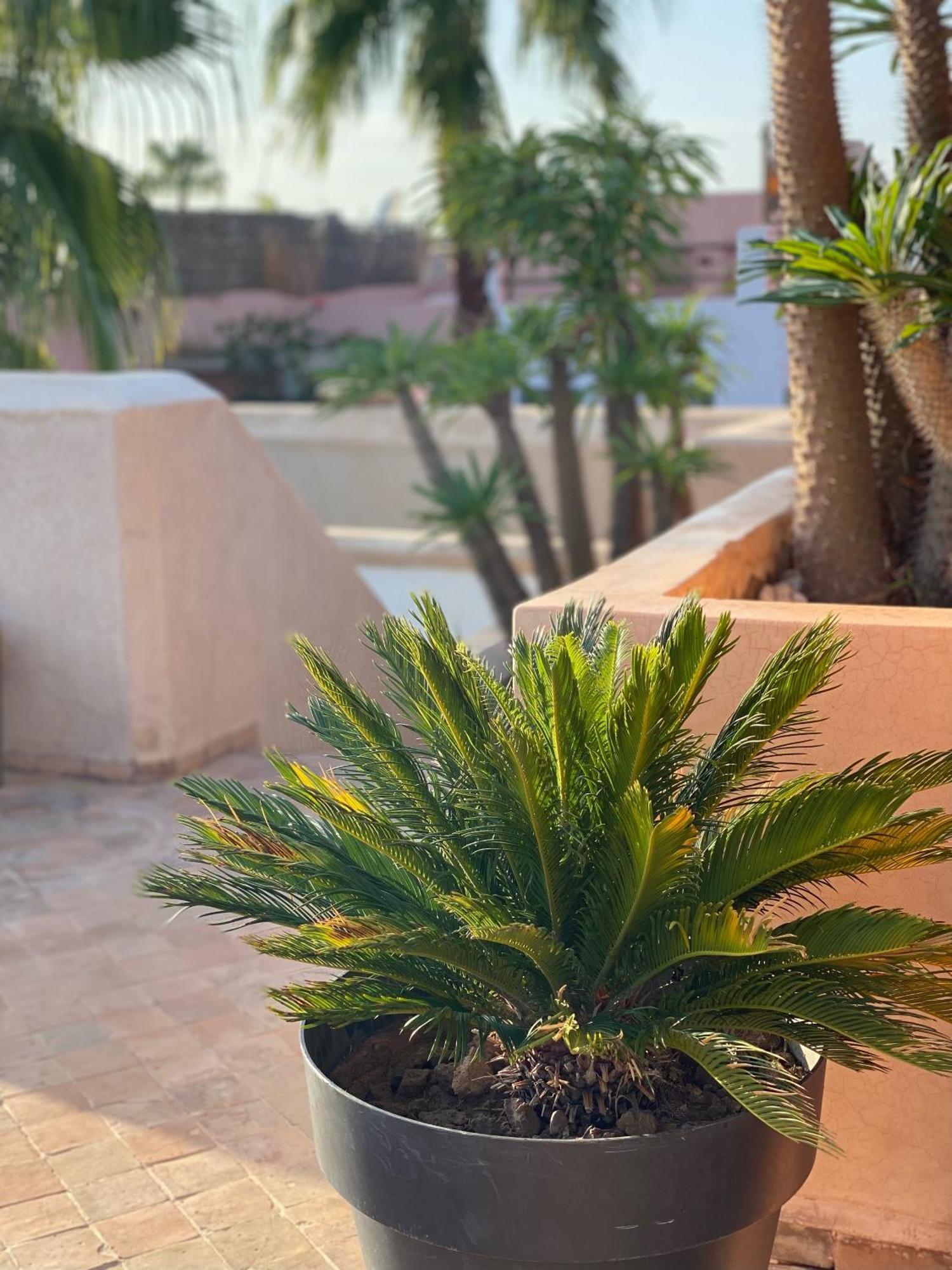 Riad Rossi Marrakesh Exteriör bild