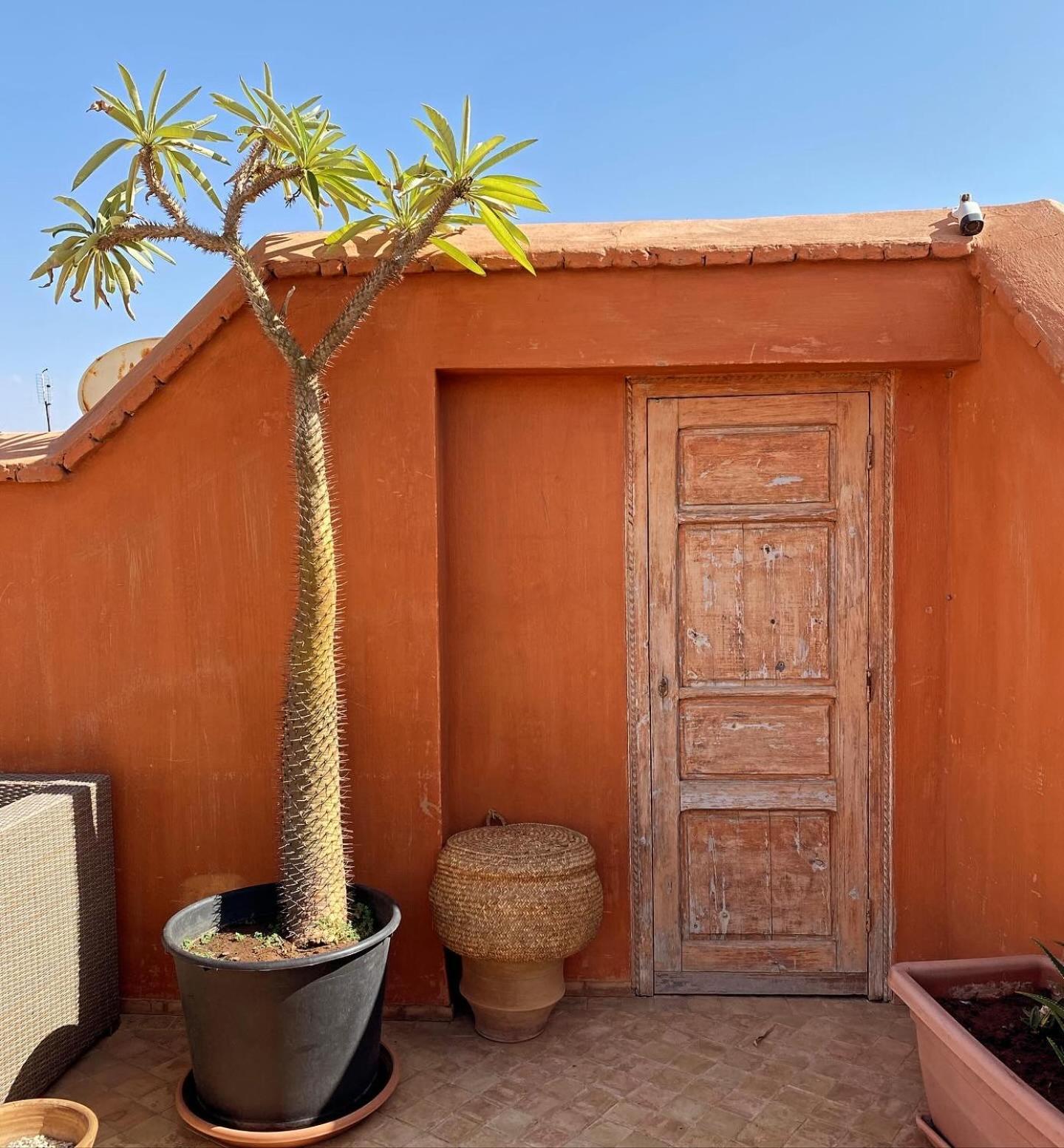 Riad Rossi Marrakesh Exteriör bild